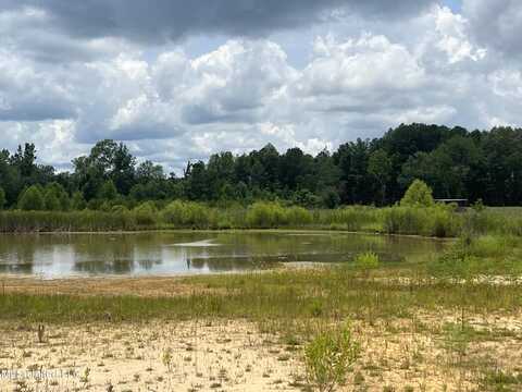 Willeaner Drive, Pearl, MS 39208