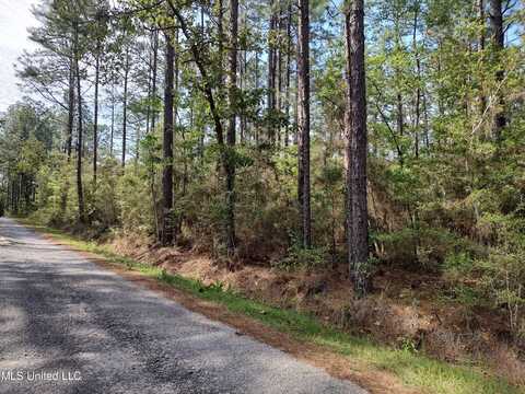 No Magnolia Lane, Poplarville, MS 39470