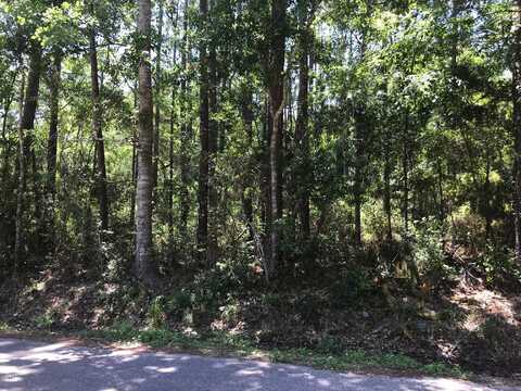 Lot 24 S 7th Street, Ocean Springs, MS 39564