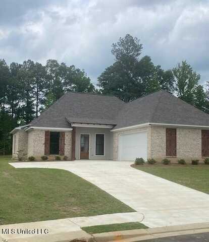 111 Herons Bay Cir Circle, Madison, MS 39110