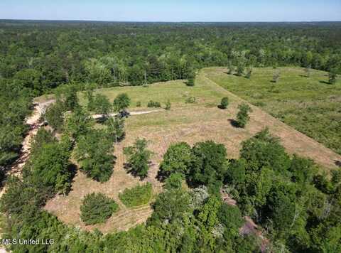 Egg Farm Road, Poplarville, MS 39470