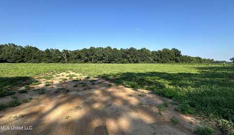 Lot 2 Marshall Smith Road, Lucedale, MS 39452