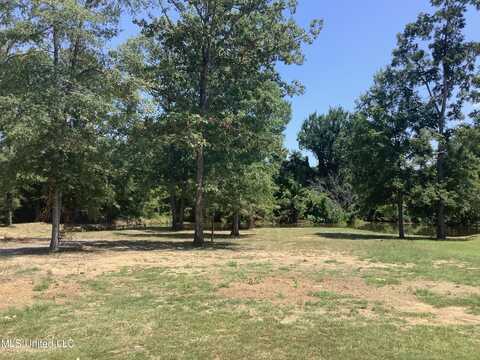 152 Peninsula Drive, Brandon, MS 39047