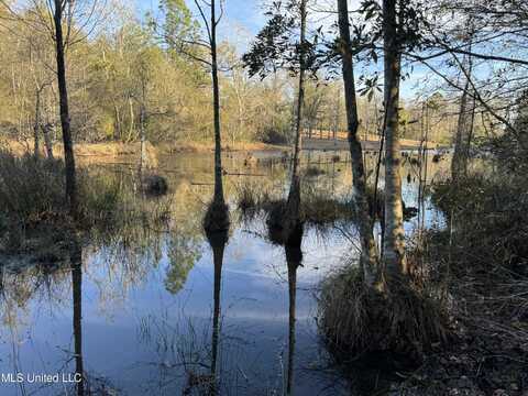 Lot 14 Hickory Lakes Estates, Lucedale, MS 39452