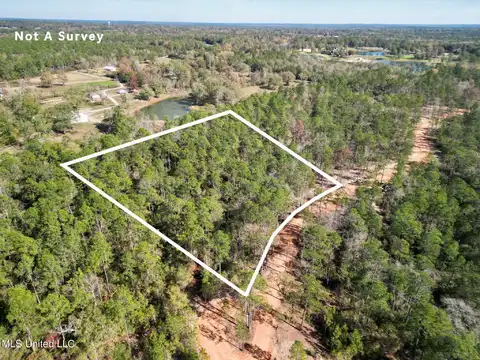 Lot 13 Laughlin Lane, Poplarville, MS 39470