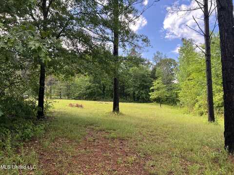 1101 Cr 437, Ashland, MS 38603