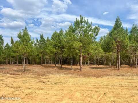 Stout Farms Dr, Madison, MS 39110