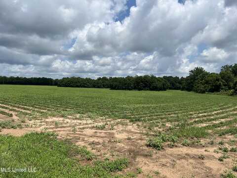 28 Acres Harmon Pope Road, Lucedale, MS 39452