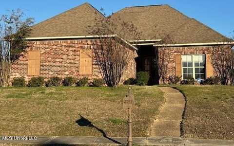 509 Turtle Lane, Brandon, MS 39047