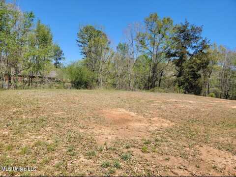 184 Magnolia Springs, Florence, MS 39073