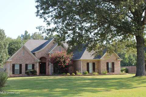 13804 Whispering Pines Drive, Olive Branch, MS 38654