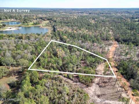 Lot 16 Laughlin Lane, Poplarville, MS 39470