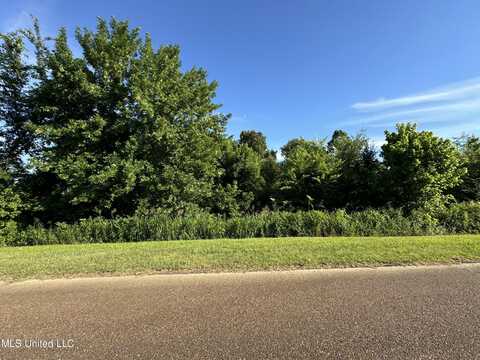 9805 Fox Gate Drive, Hernando, MS 38632