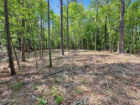 0 Shadow Creek Drive, Florence, MS 39073