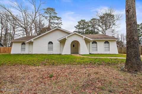 249 Bay Park Drive, Brandon, MS 39047