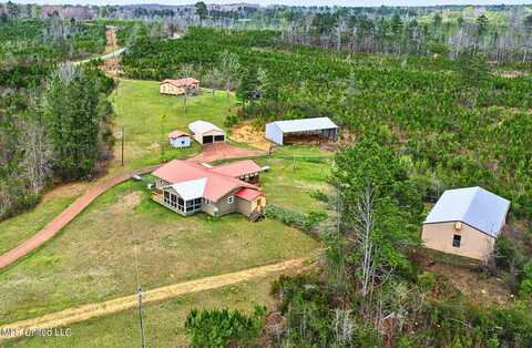 123 Leming Road, Braxton, MS 39044