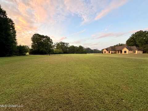 1081 Livingston Vernon Road, Flora, MS 39071