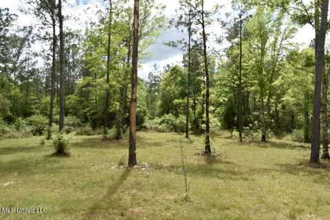 94 Saint Angelo, Poplarville, MS 39470