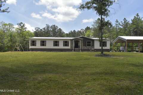 94 St Angelo Lane, Poplarville, MS 39470