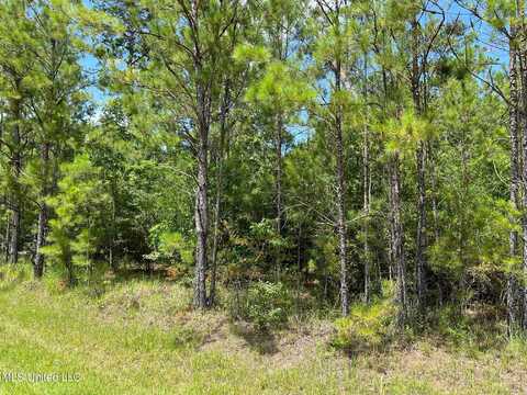 0 Riverwalk Drive, Vancleave, MS 39565