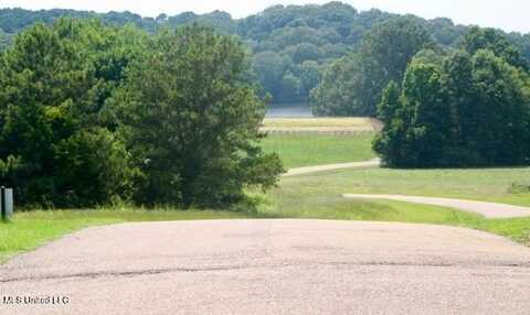 Lot 66 Chestnut Spring Road, Flora, MS 39071