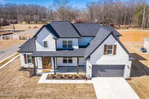 10190 May Flowers Street, Olive Branch, MS 38654