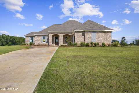 207 Lizzy Lane, Brandon, MS 39047