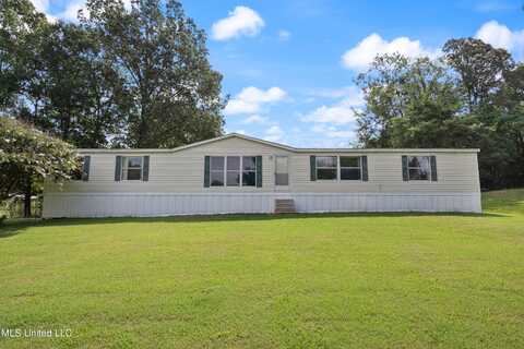 535 Strayhorn Lake Drive, Sarah, MS 38665