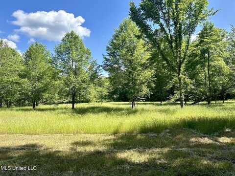 County Road 4005, Goodman, MS 39079