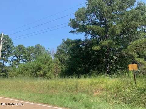 236 Dave Brown Road, Canton, MS 39046