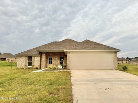 251 Chartleigh Circle, Canton, MS 39046