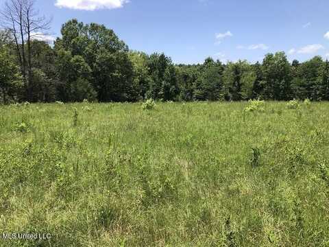 Helm Rd, Pickens, MS 39146