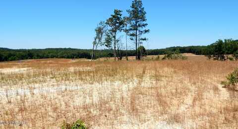 102 Hugh White State Park Road, Grenada, MS 38901