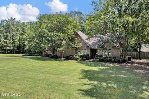 6760 Autimn Oaks Drive, Olive Branch, MS 38654