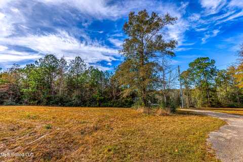 Hunters Walk, Wiggins, MS 39577