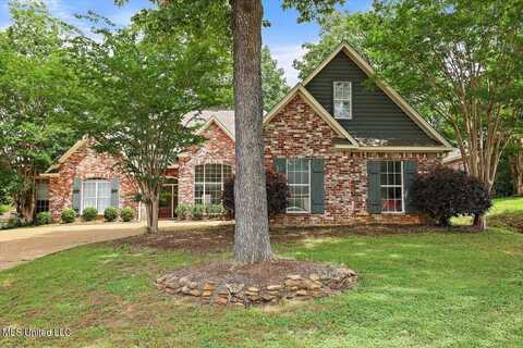 216 Oak Park Drive, Madison, MS 39110