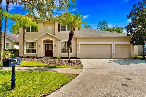 16159 COLCHESTER PALMS DRIVE, TAMPA, FL 33647