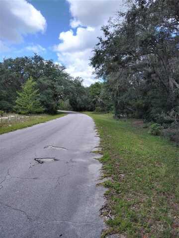 0 FISHER WAY RUN, OCKLAWAHA, FL 32179