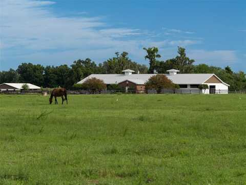 13430 NW HIGHWAY 225, REDDICK, FL 32686