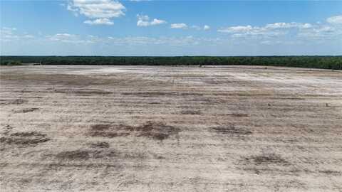 216.47ac NE 85TH AVE RD, CITRA, FL 32113