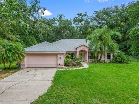 2541 LAKE GRIFFIN ROAD, LADY LAKE, FL 32159