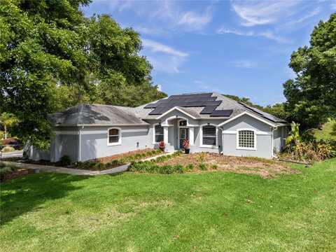 5311 SADDLEBACK COURT, LADY LAKE, FL 32159