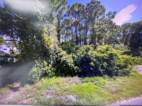 106 TURTLE DRIVE, ROTONDA WEST, FL 33947