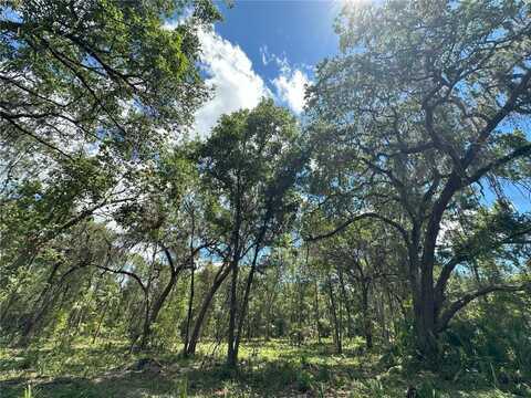 225ac NW 193RD ST, REDDICK, FL 32686