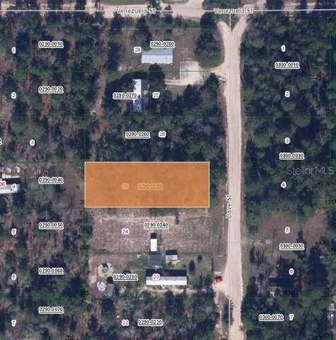 DAVE STREET, INTERLACHEN, FL 32148