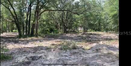 Lot 5 SE 82ND STREET, MORRISTON, FL 32668