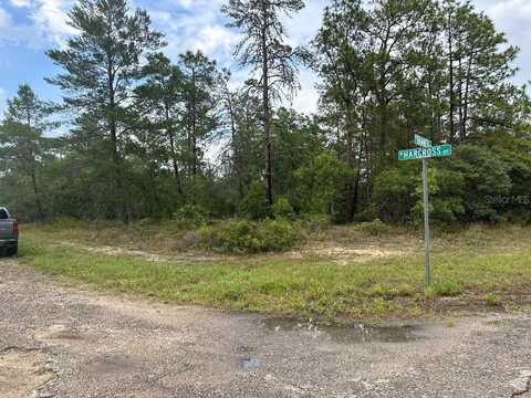 6533 N HARCROSS AVENUE, DUNNELLON, FL 34433