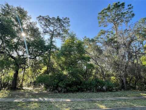 11827 RAMBLING OAK BOULEVARD, ORLANDO, FL 32832