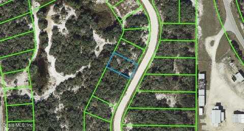 220 Lakeland DRIVE, LAKE PLACID, FL 33852