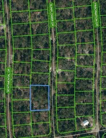 244 SUNFLOWER DRIVE, LAKE PLACID, FL 33852